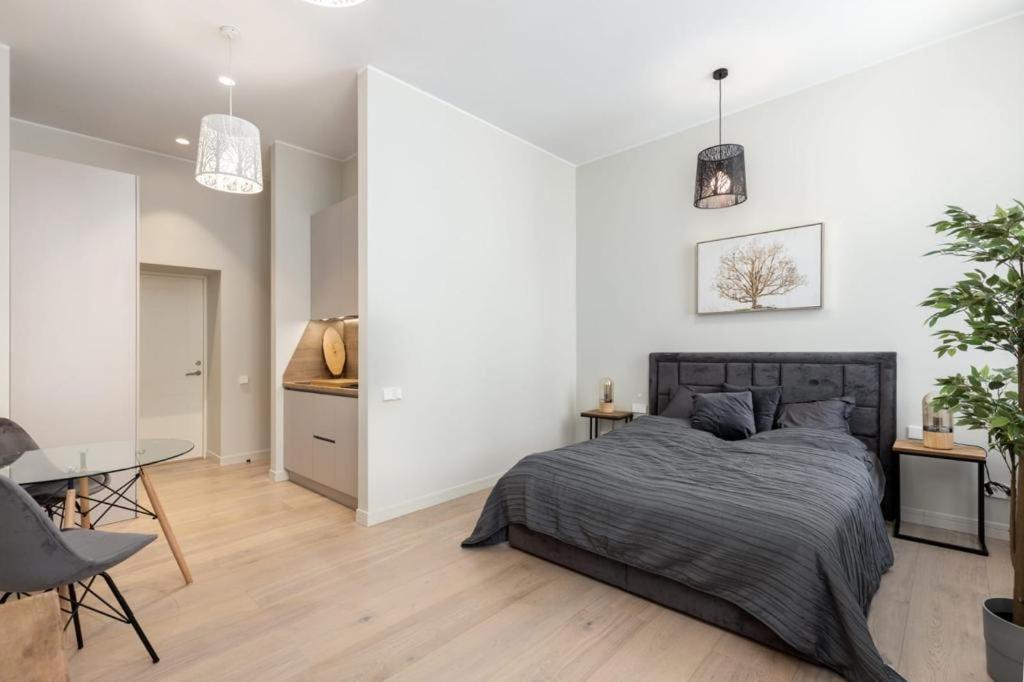 Kalnina Street Studio Apartment Ryga Zewnętrze zdjęcie