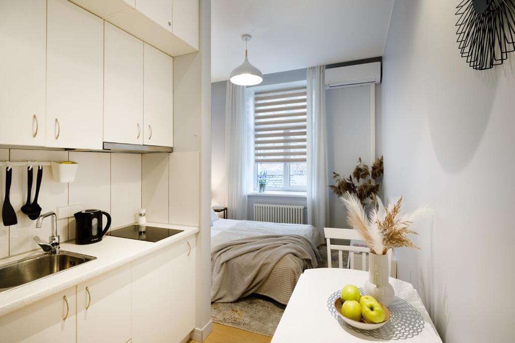 Kalnina Street Studio Apartment Ryga Zewnętrze zdjęcie