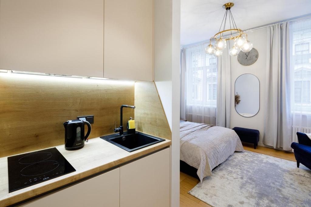 Kalnina Street Studio Apartment Ryga Zewnętrze zdjęcie